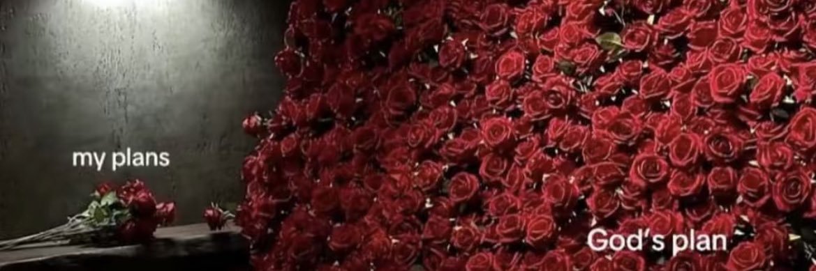 NiyaAllure's profile banner image