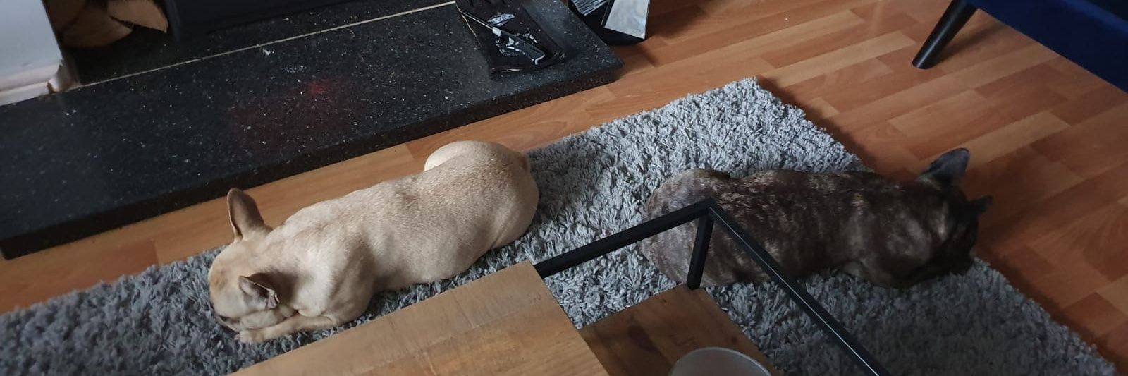 Daniel Francis banner