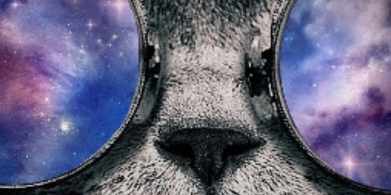 kattyfizzle's profile banner image