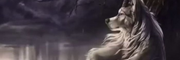 moritapgrttt's profile banner image