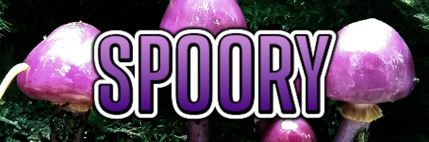 Sp00ry banner