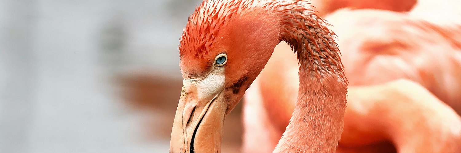 TravelTime World 🏝 - Travel Professionals 🚌🛳 🌳 banner