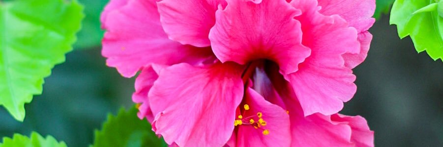 _HeyBrittney_'s profile banner image