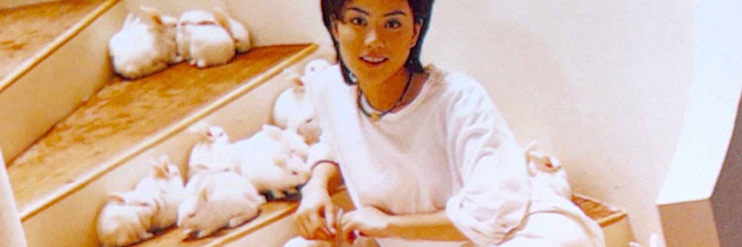FayeCardArchive's profile banner image