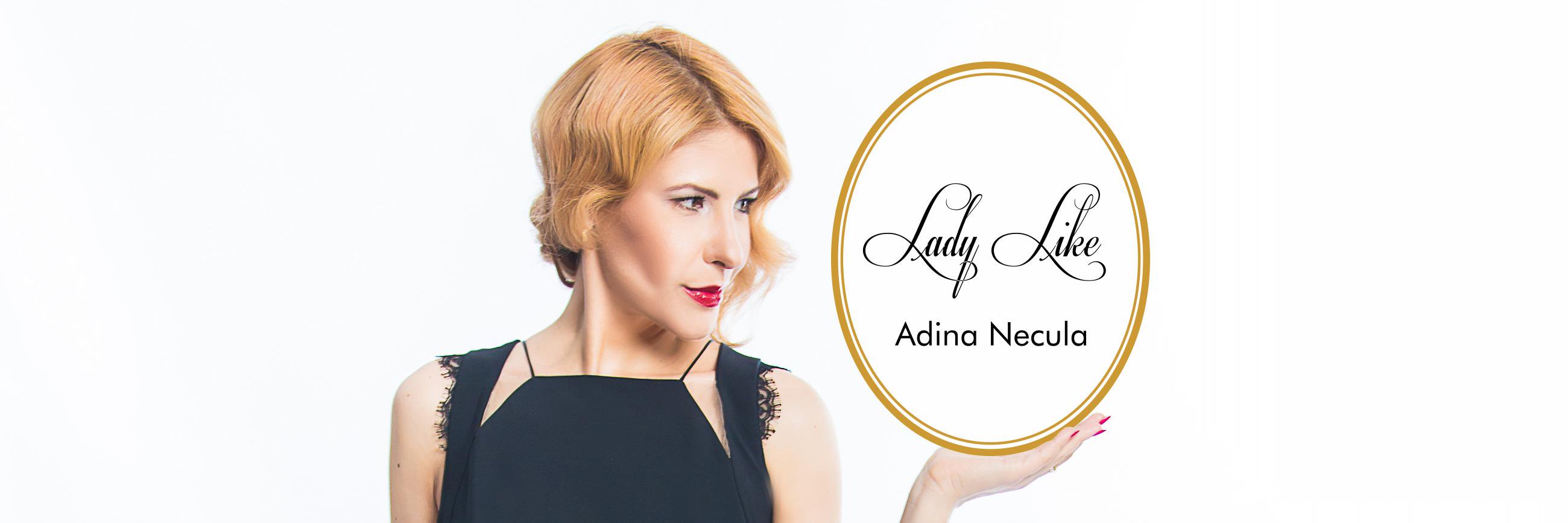 AdinaNecula's profile banner image