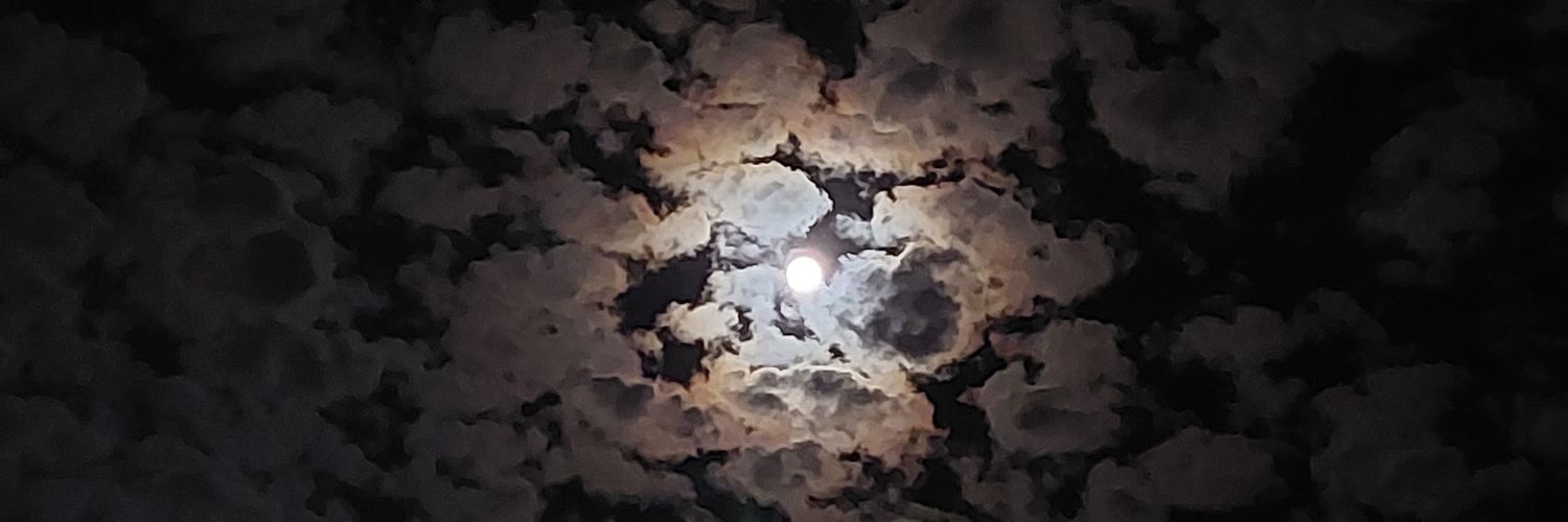 euriterminator's profile banner image