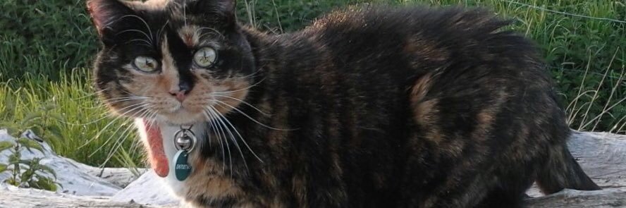 inge2861's profile banner image