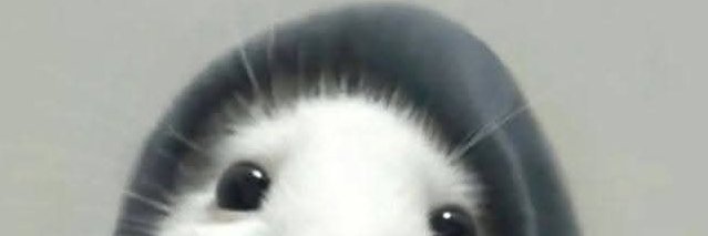 Shepherd Aoki banner