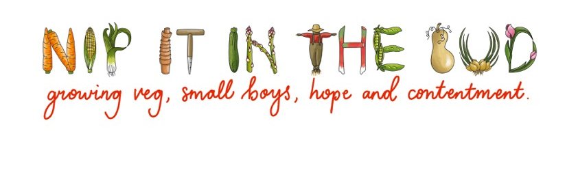 INipItInTheBud's profile banner image