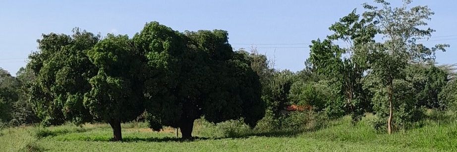 Mumbi 🦋 banner