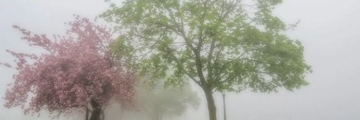 labyrinthofblue's profile banner image