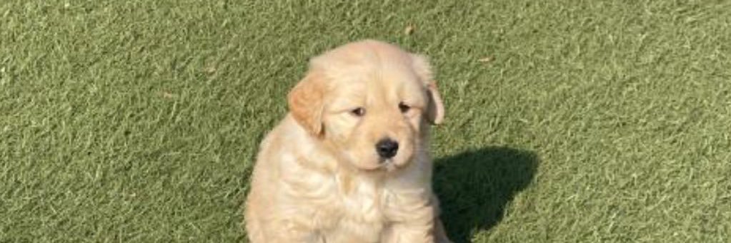 บั้บบู้☃︎⋆ banner