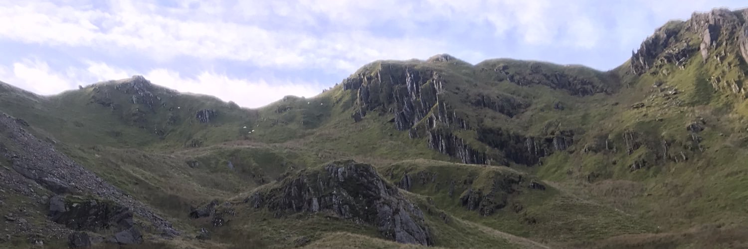 Phillip Woolley banner