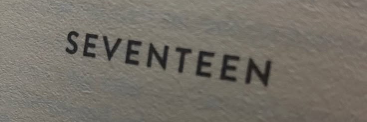 snowwhite ── .✦ banner