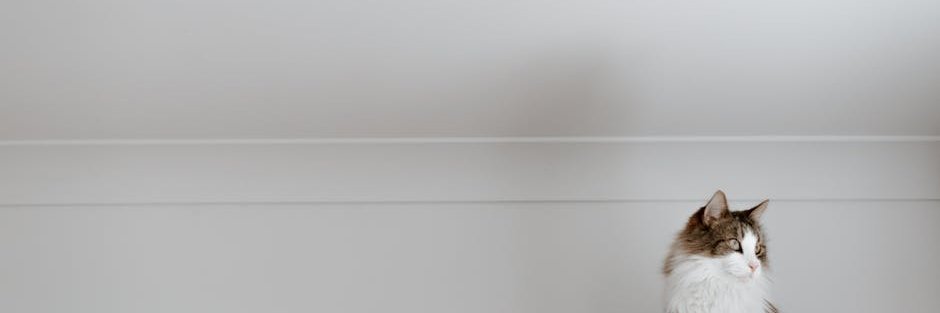 Melanie Behme banner