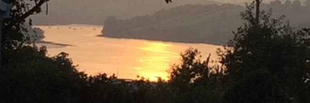 Tricia Kemish banner