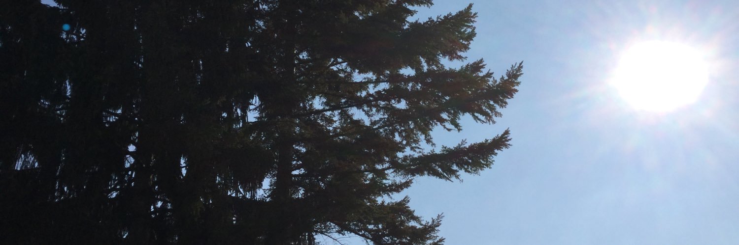 danielrei's profile banner image