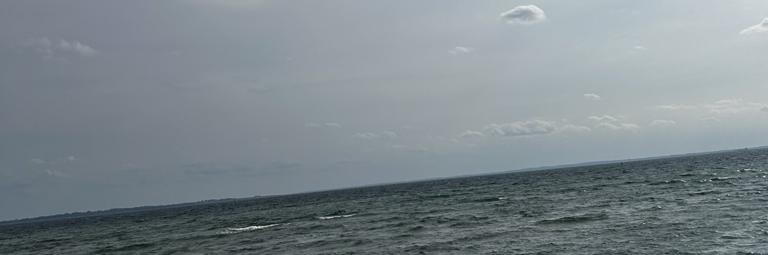 meloquix banner