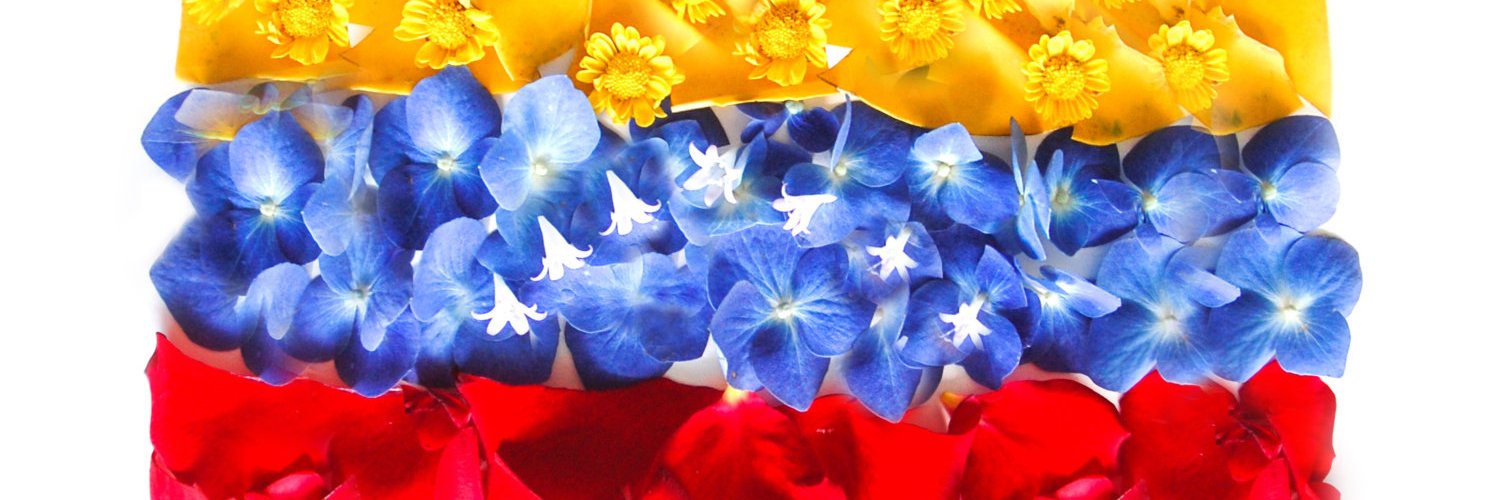 bloquedada's profile banner image