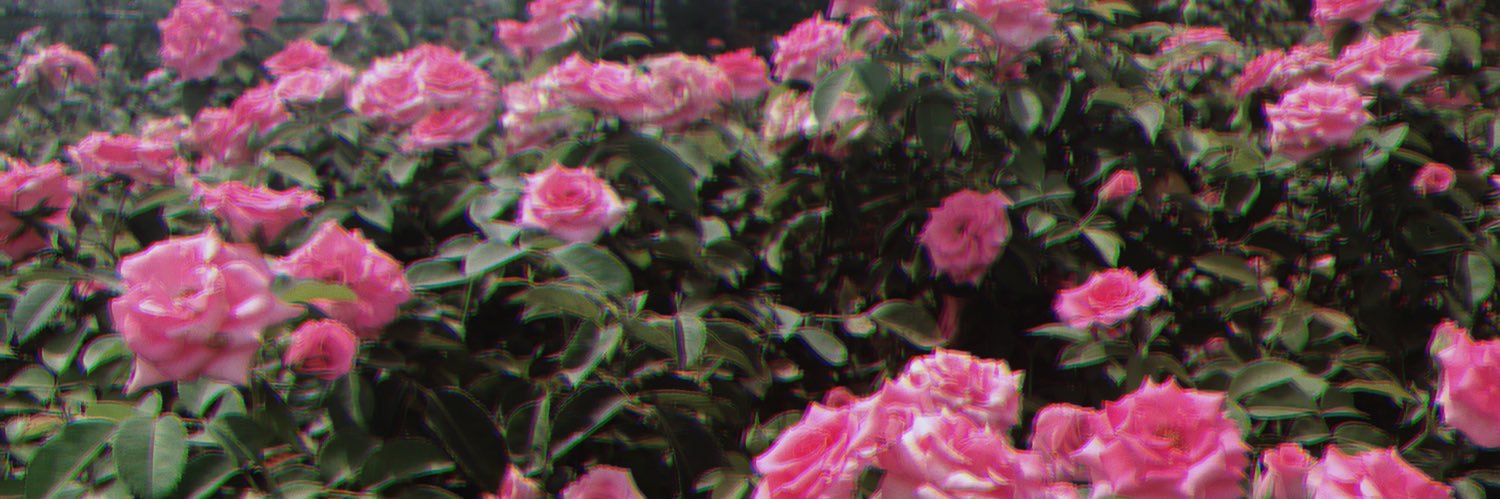 gboniuma's profile banner image