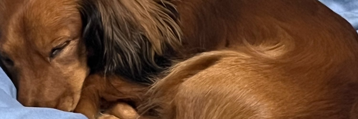 永凍されしTokiyaAL banner