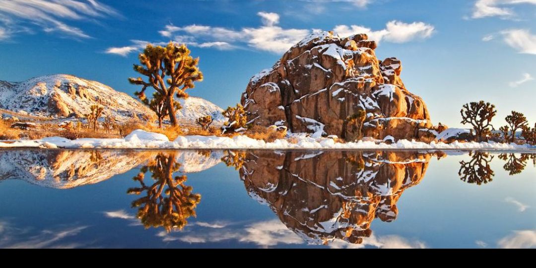 UniversalSpec banner