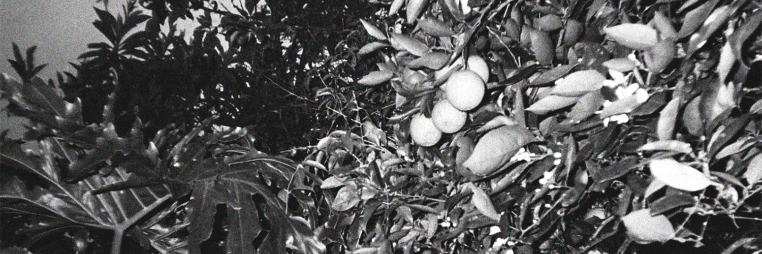 ciudadruinas's profile banner image