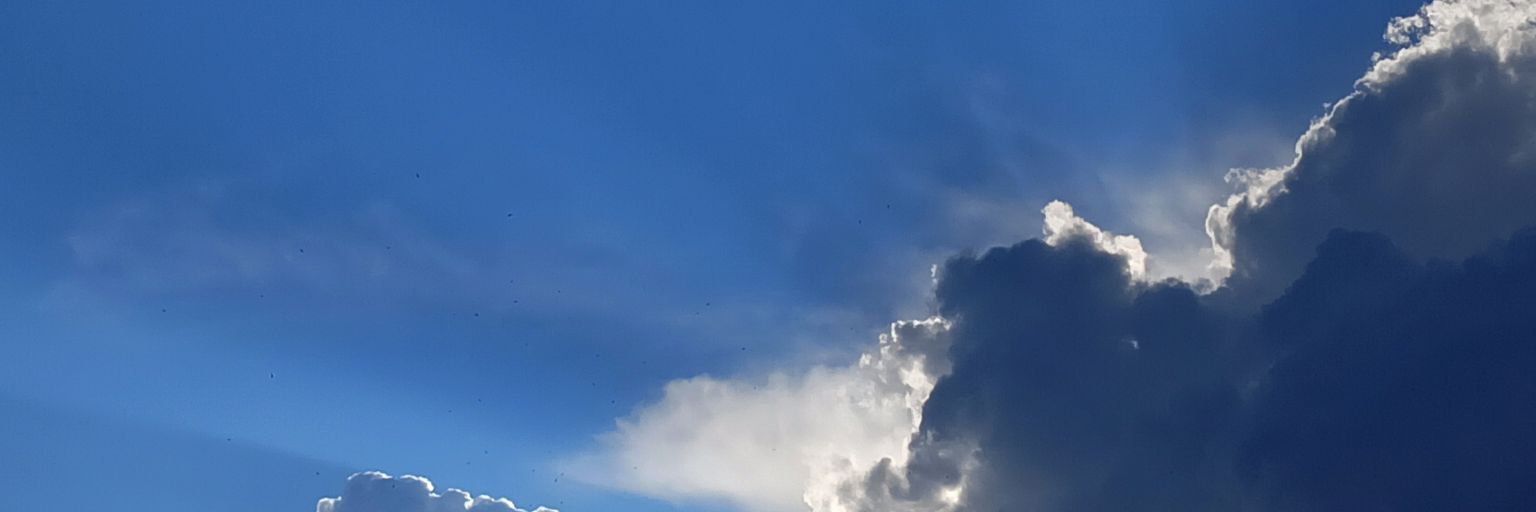 SamantaCampbell's profile banner image
