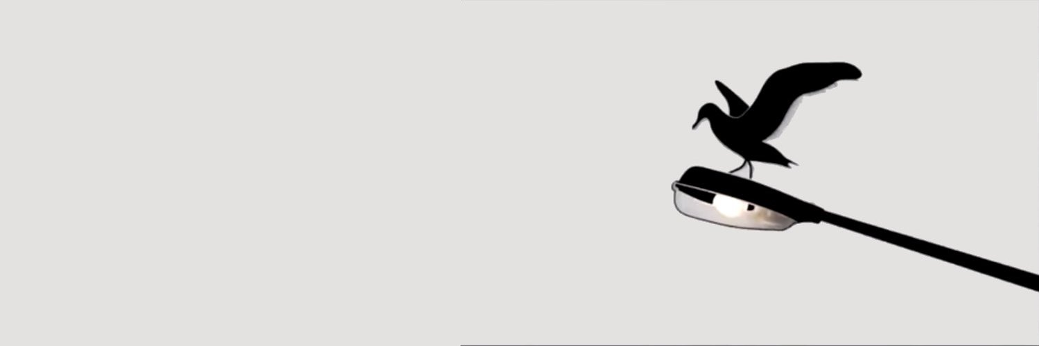 brianorwhatever's profile banner image