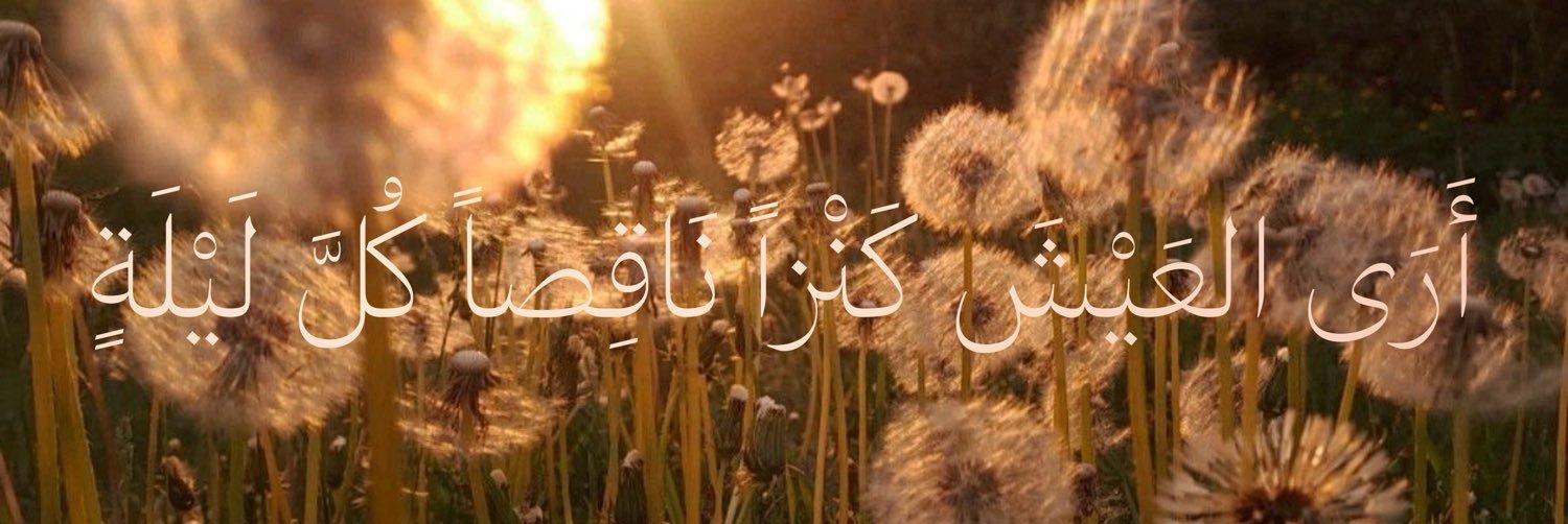 nassrrunsinme's profile banner image