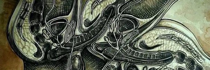 Vers Bottom Bear🍑 banner