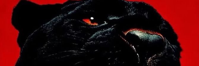 Liberrrrie6c's profile banner image