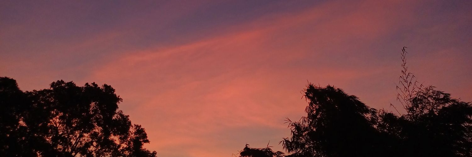 gendoed11's profile banner image