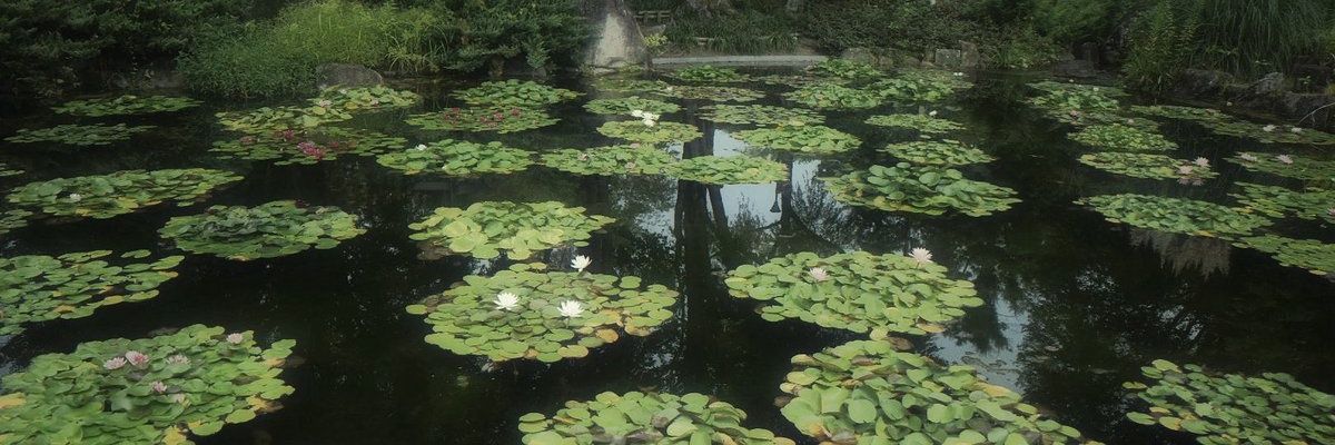 Coffeencals's profile banner image