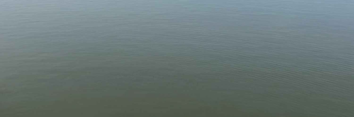 Fact Checker Organisation™️ banner