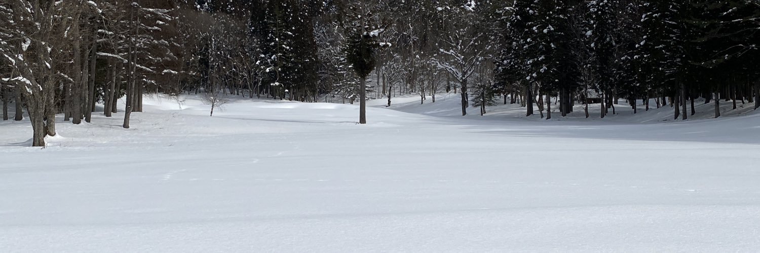 tskn's profile banner image
