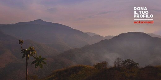 anna pettinelli banner