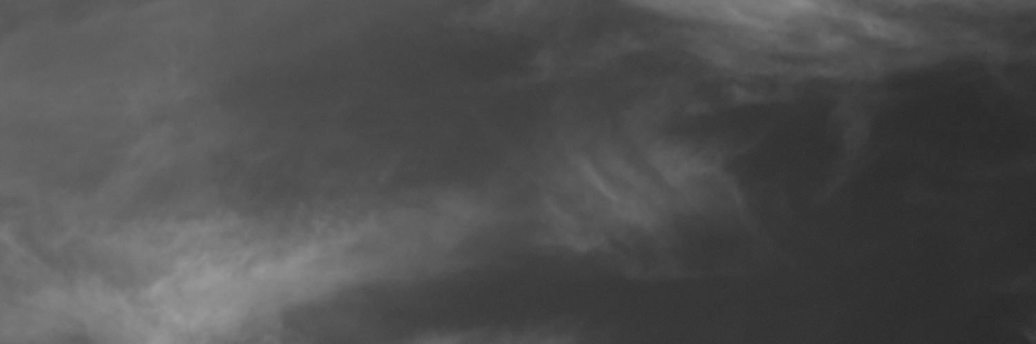 Octavio Alves banner