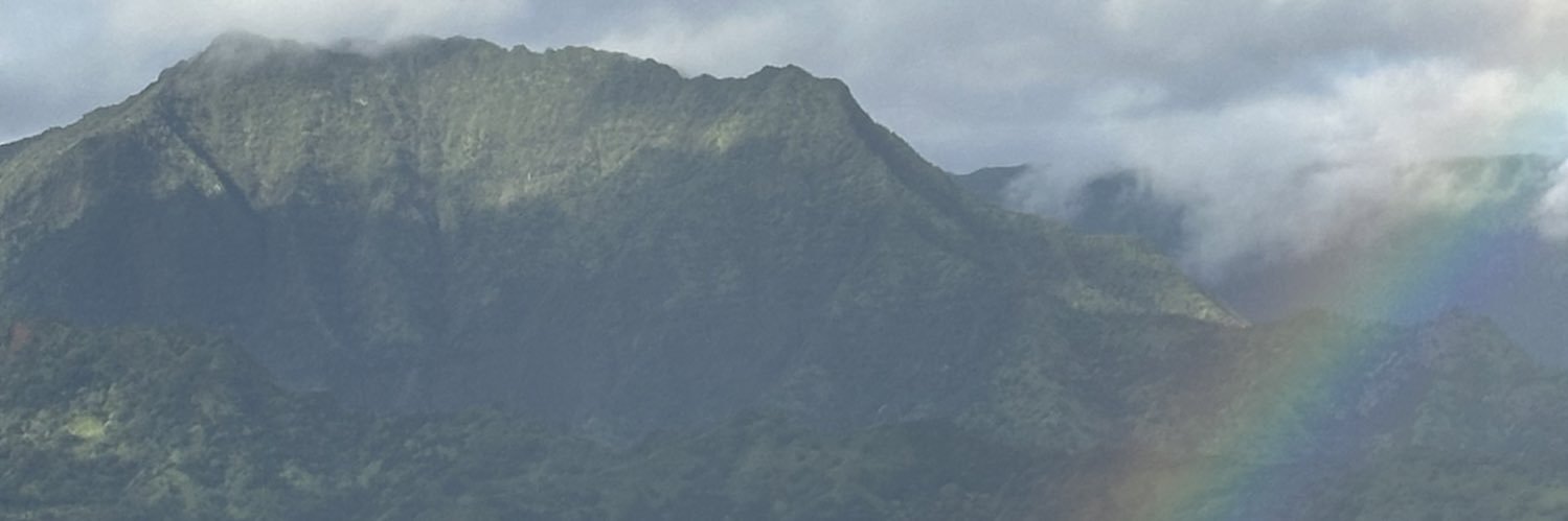 linucollins's profile banner image