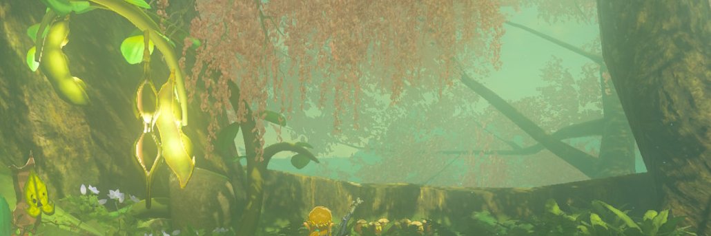 _zimu00's profile banner image