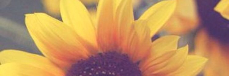 danprosser's profile banner image