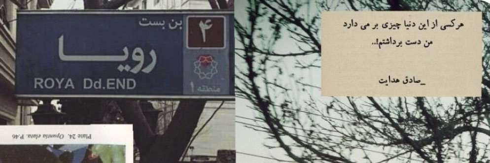 نسیمی‌که‌از‌شمال‌شرق‌می‌وزد banner