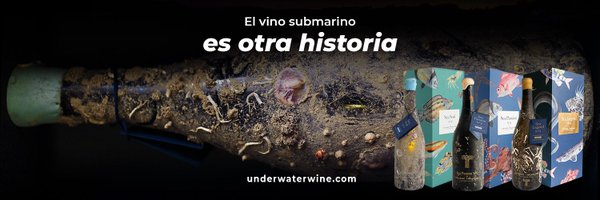 CrusoeTreasure Profile Banner