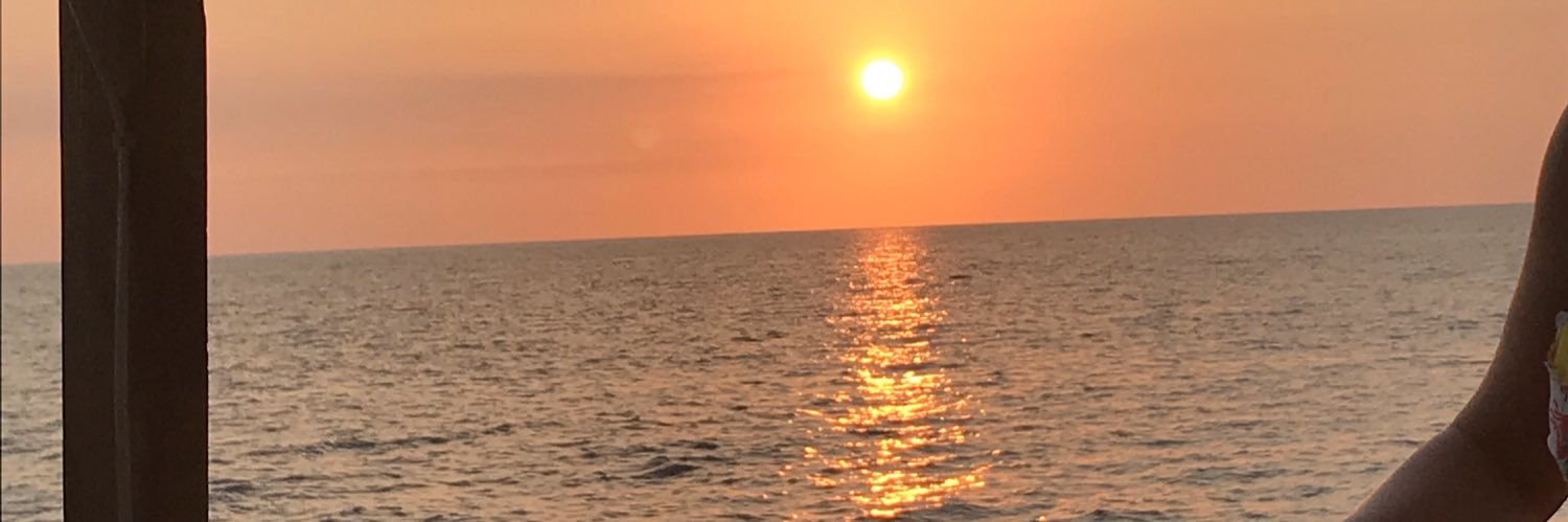 littlerayofsunshine banner