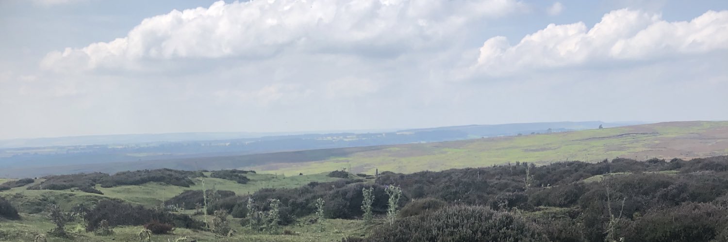 MrsStow's profile banner image