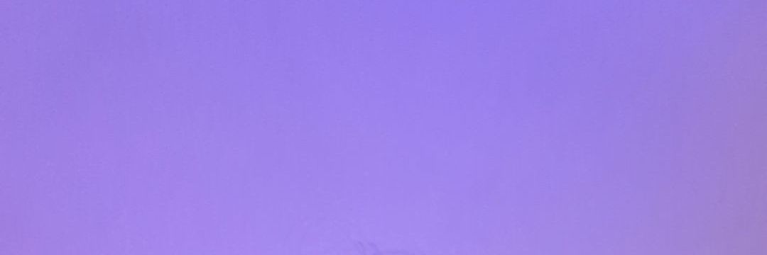 💗 banner