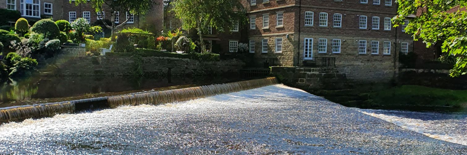 Joanne Canning banner