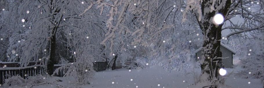 jen ⋆｡° edtwt banner