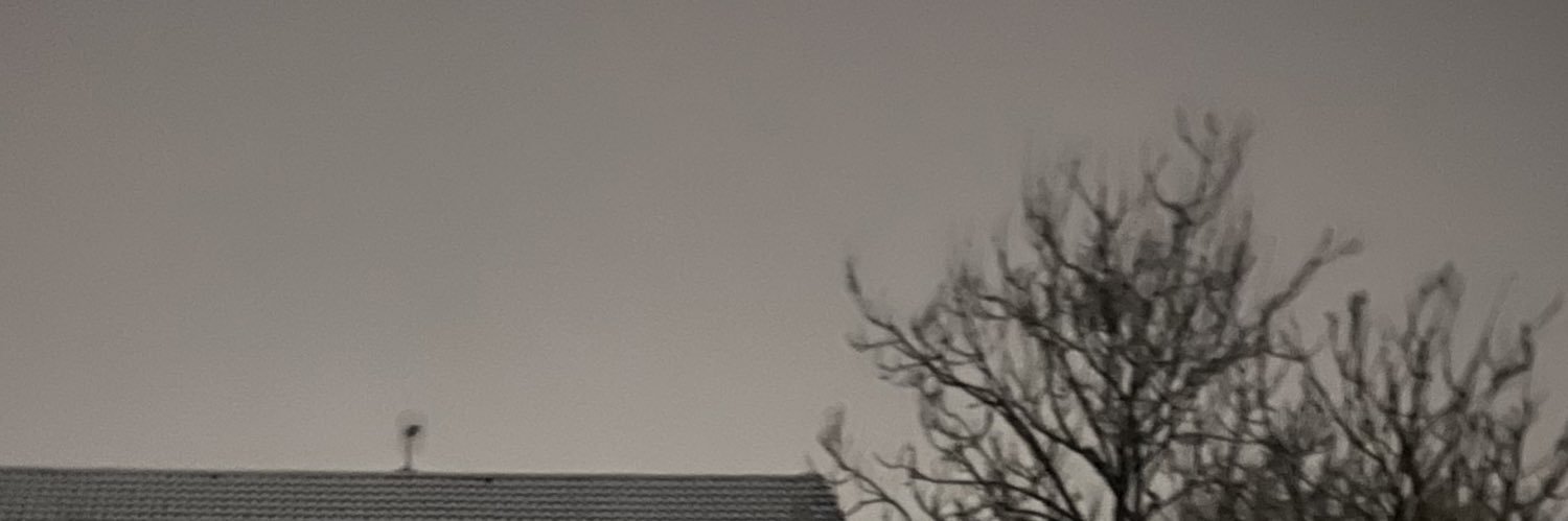 Rebecca-Louise banner