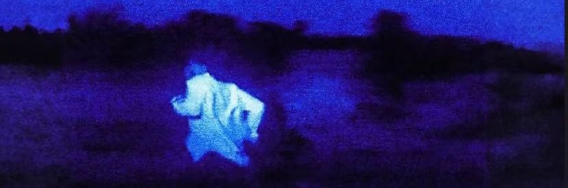 softlikeshark's profile banner image